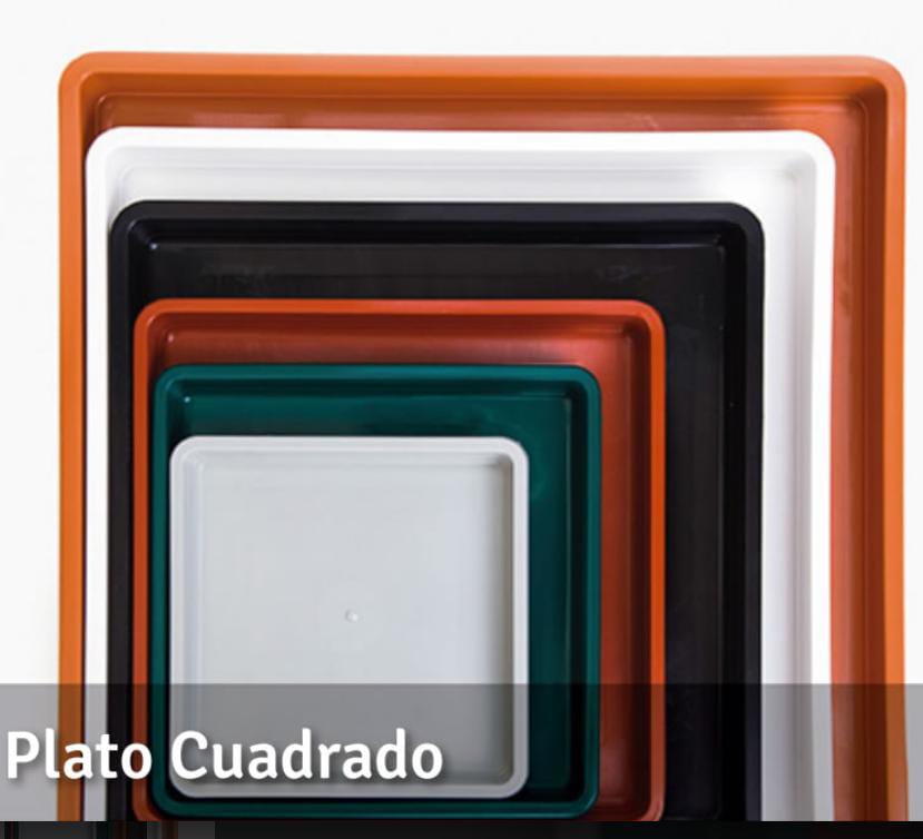 Plato cuadrado TA N°17
